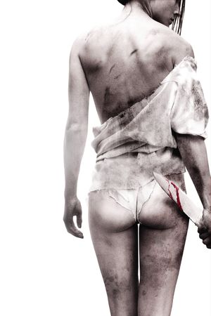 I Spit on Your Grave's poster