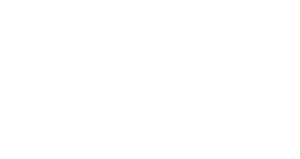 Lone Survivor's poster