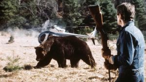 Grizzly's poster