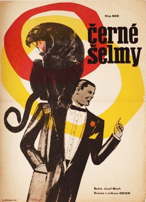 Schwarze Panther's poster