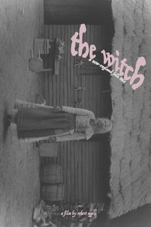 The Witch's poster