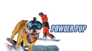 Powder Pup's poster