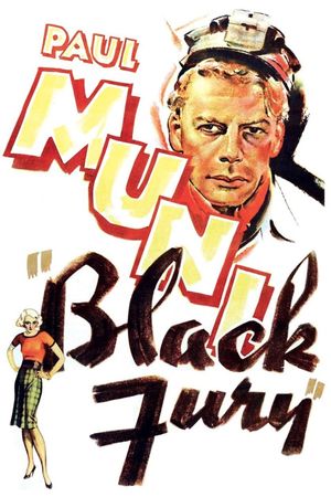 Black Fury's poster