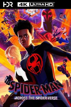 Spider-Man: Across the Spider-Verse's poster