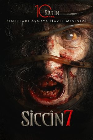 Siccin 7's poster