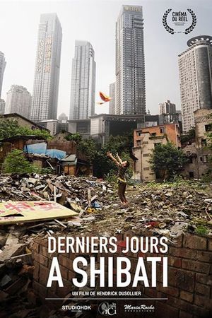 Derniers jours à Shibati's poster