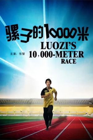 骡子的10000米's poster