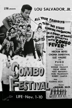 Combo Festival's poster