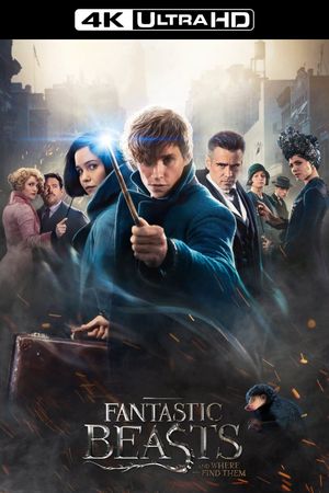 Fantastic Beasts and Where to Find Them's poster