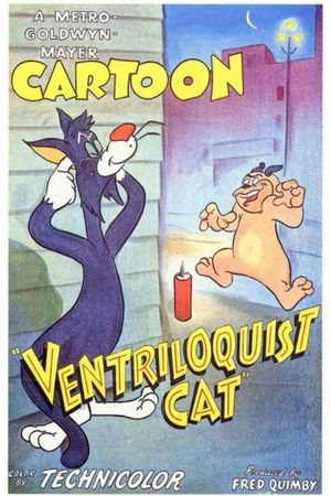 Ventriloquist Cat's poster