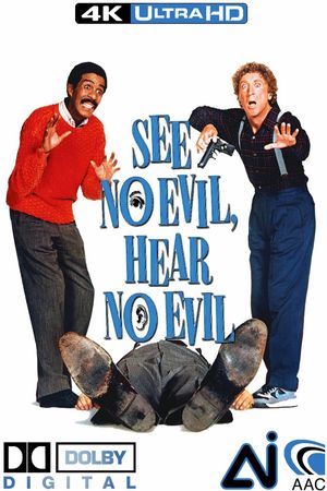See No Evil, Hear No Evil's poster