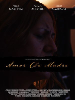A Mother's Love's poster