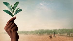 The Great Green Wall's poster