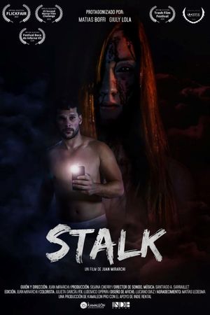 Stalk's poster image