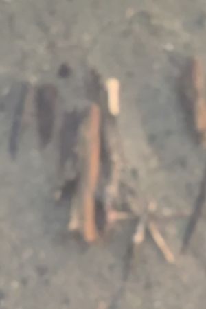 Pending's poster