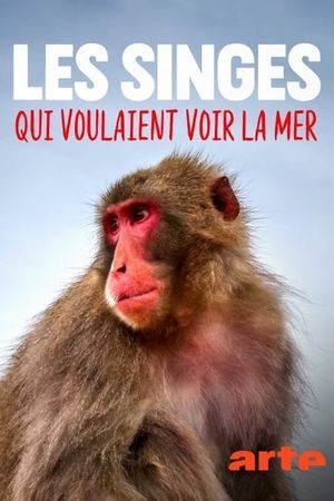 Les singes qui voulaient voir la mer's poster