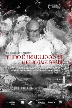 Tudo É Irrelevante. Helio Jaguaribe's poster