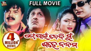 To Pain Nebi Mu Sahe Janama's poster