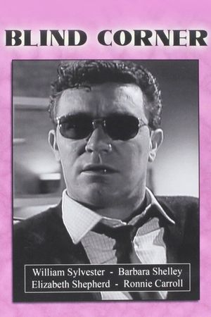 Man in the Dark's poster
