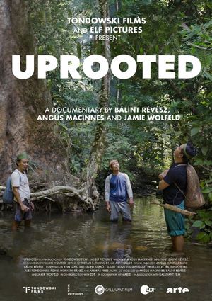 Uprooted - The Olympic Tribe's poster