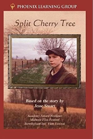 Split Cherry Tree's poster