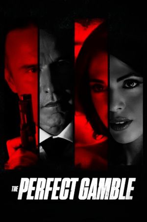 The Perfect Gamble's poster