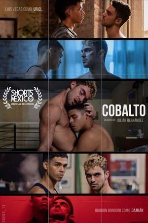 Cobalto's poster