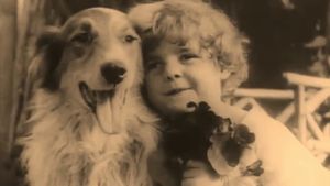 A Dog's Love's poster