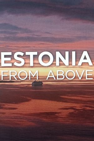 Estonia from Above's poster