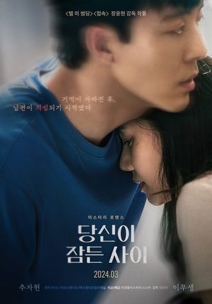 While You Were Sleeping's poster