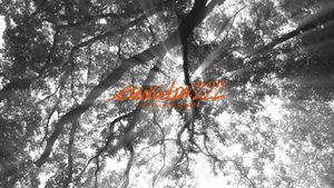 Evangelion: 2.0 You Can (Not) Advance's poster
