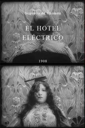 The Electric Hotel's poster