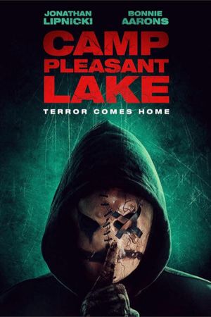 Camp Pleasant Lake's poster