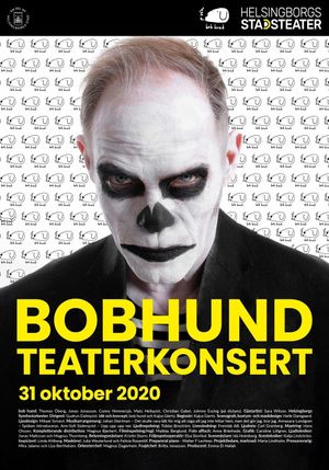 BOBHUNDTEATERKONSERT's poster image