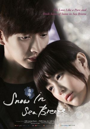 Snow Is on the Sea's poster
