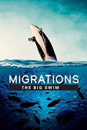 Migrations: The Big Swim's poster