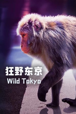 Wild Tokyo's poster