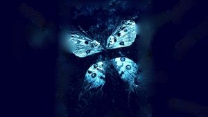 The Butterfly Effect 3: Revelations's poster