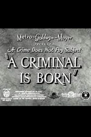 A Criminal Is Born's poster
