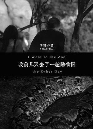 I Went to the Zoo the Other Day's poster