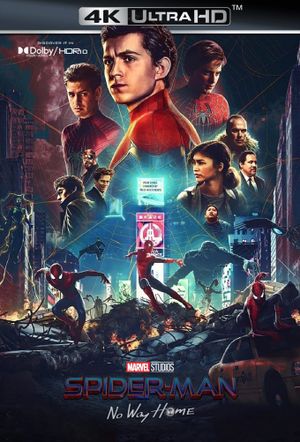 Spider-Man: No Way Home's poster