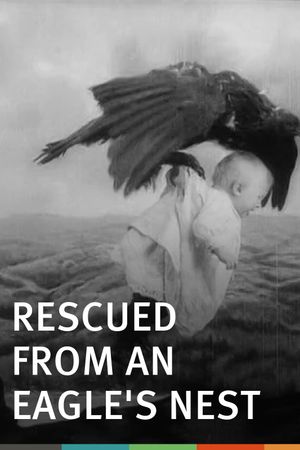 Rescued from an Eagle's Nest's poster