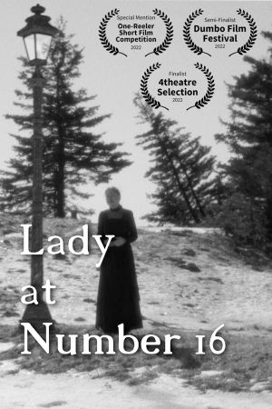 Lady at Number 16's poster