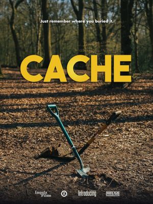 Cache's poster