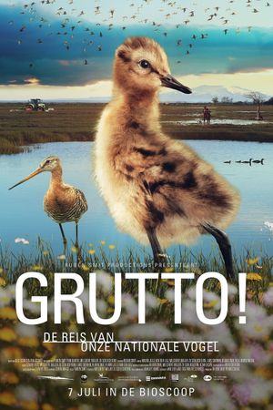 Grutto!'s poster