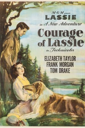 Courage of Lassie's poster