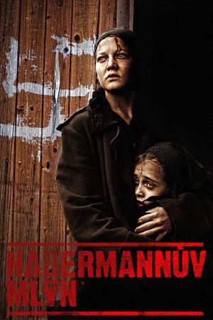 Habermann's poster