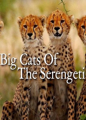 Big Cats of the Serengeti's poster