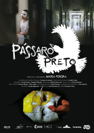 Pássaro preto's poster