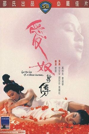 Ai nu xin zhuan's poster
